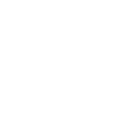 Stake logo